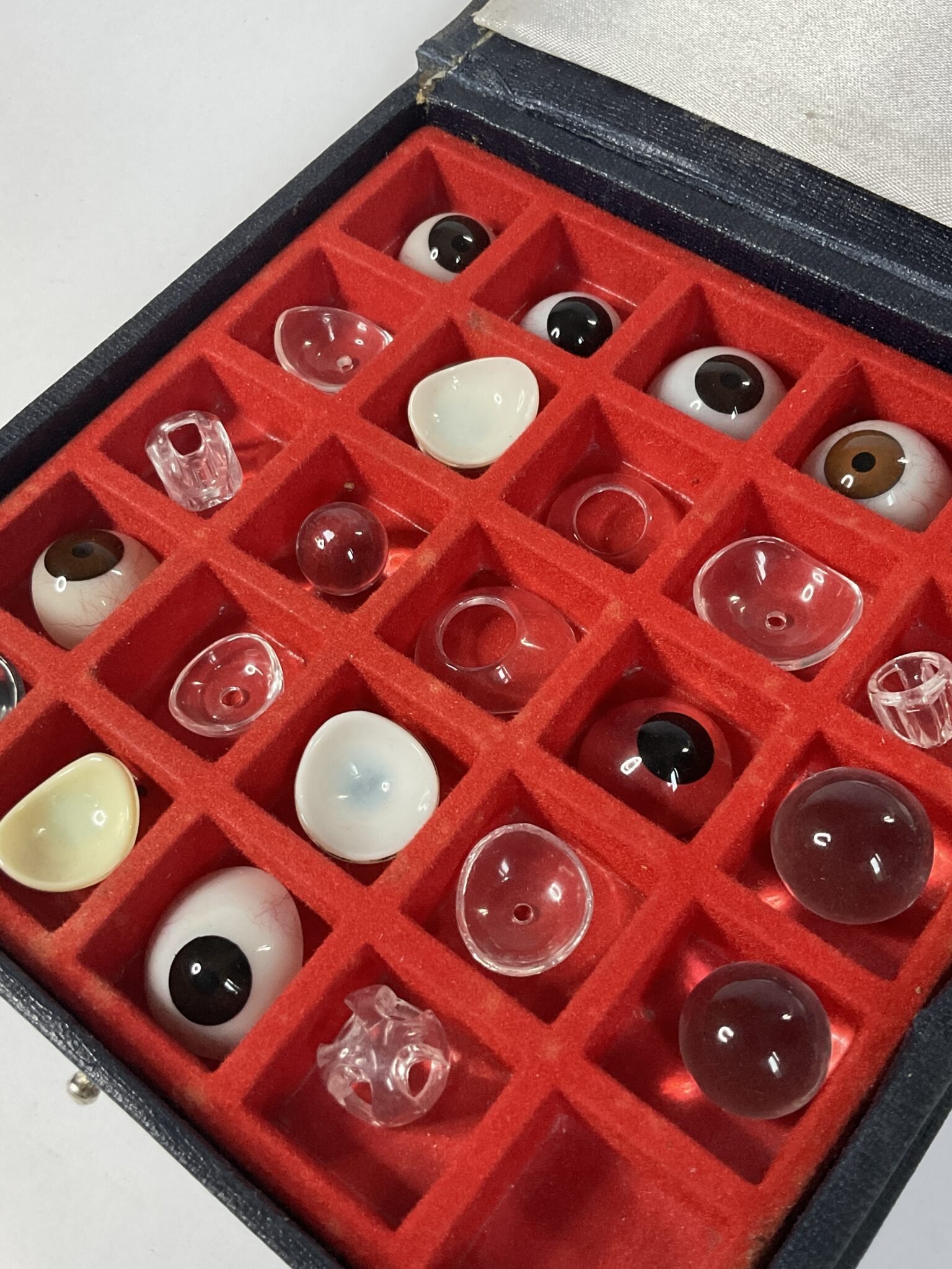 Antique case of glass eyes.