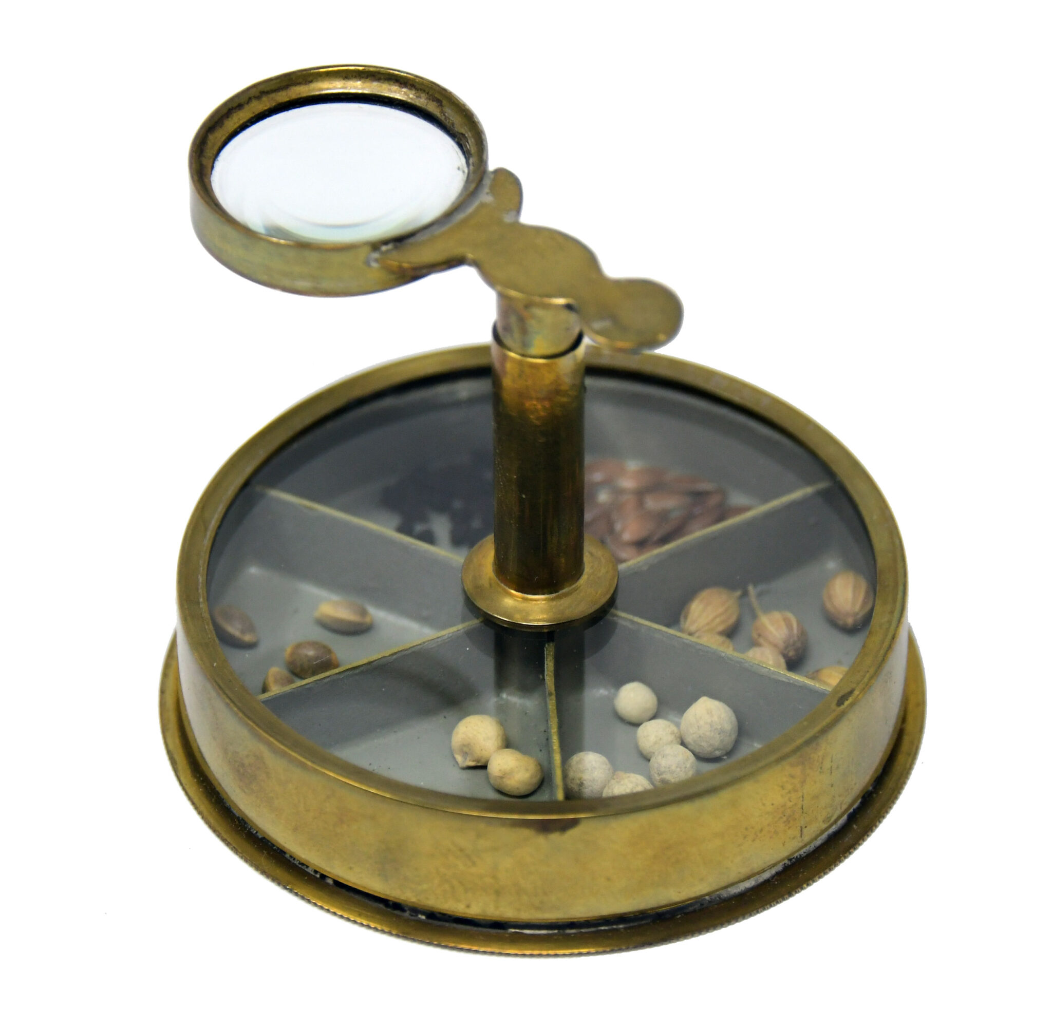 The Seed Microscope, ca. 1850