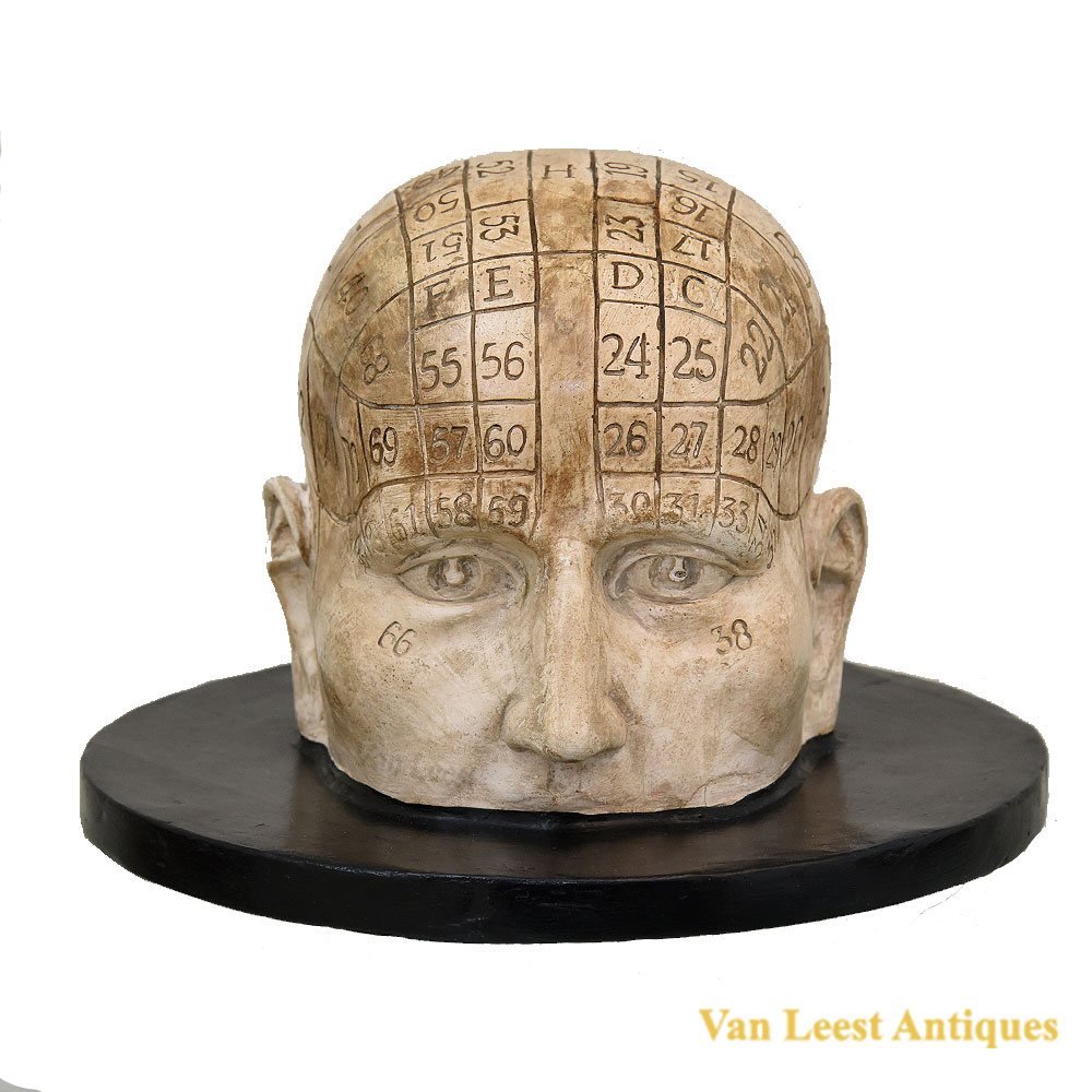 Phrenology half head, C 1890