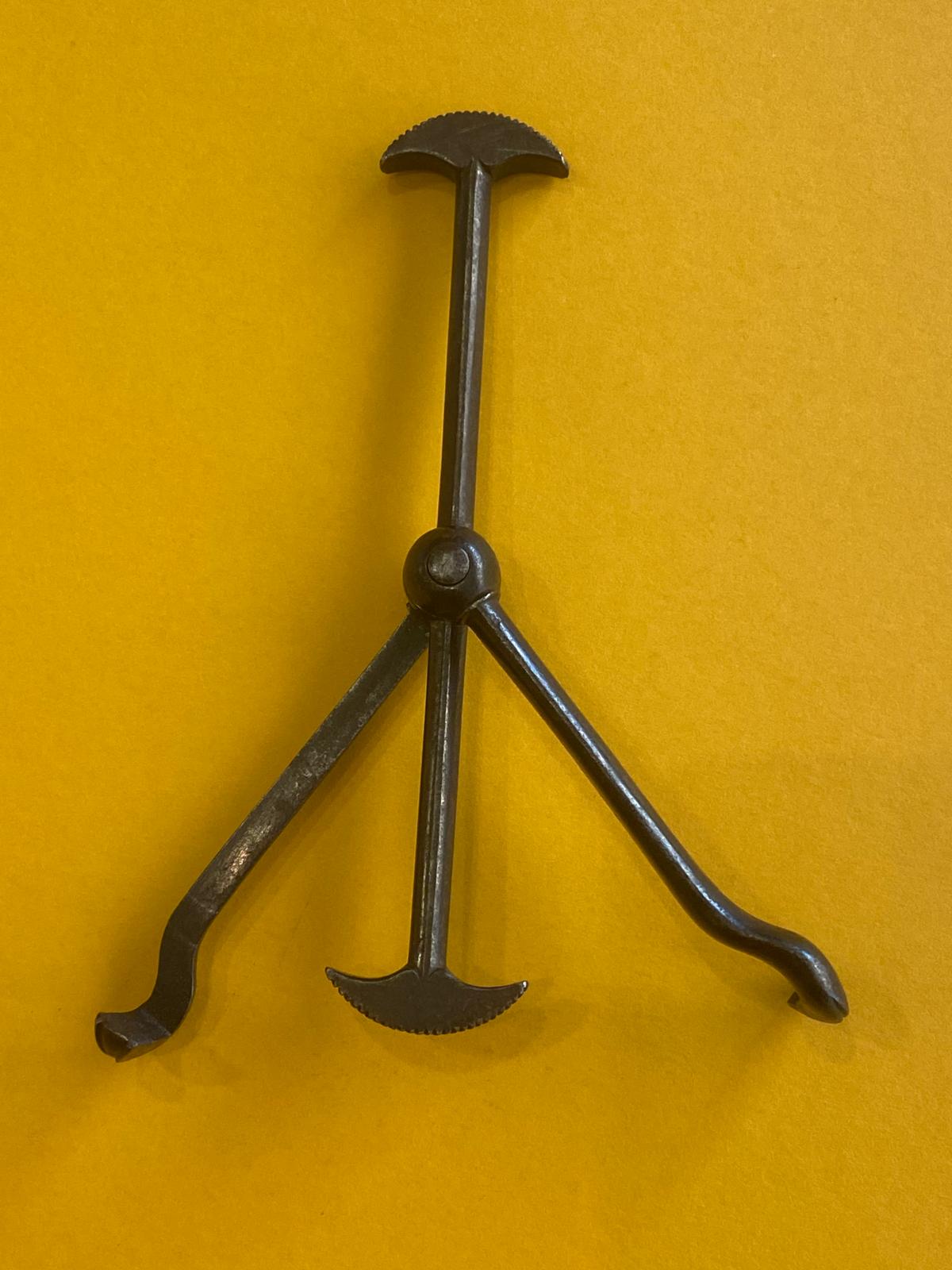 Early Italian dental pelican