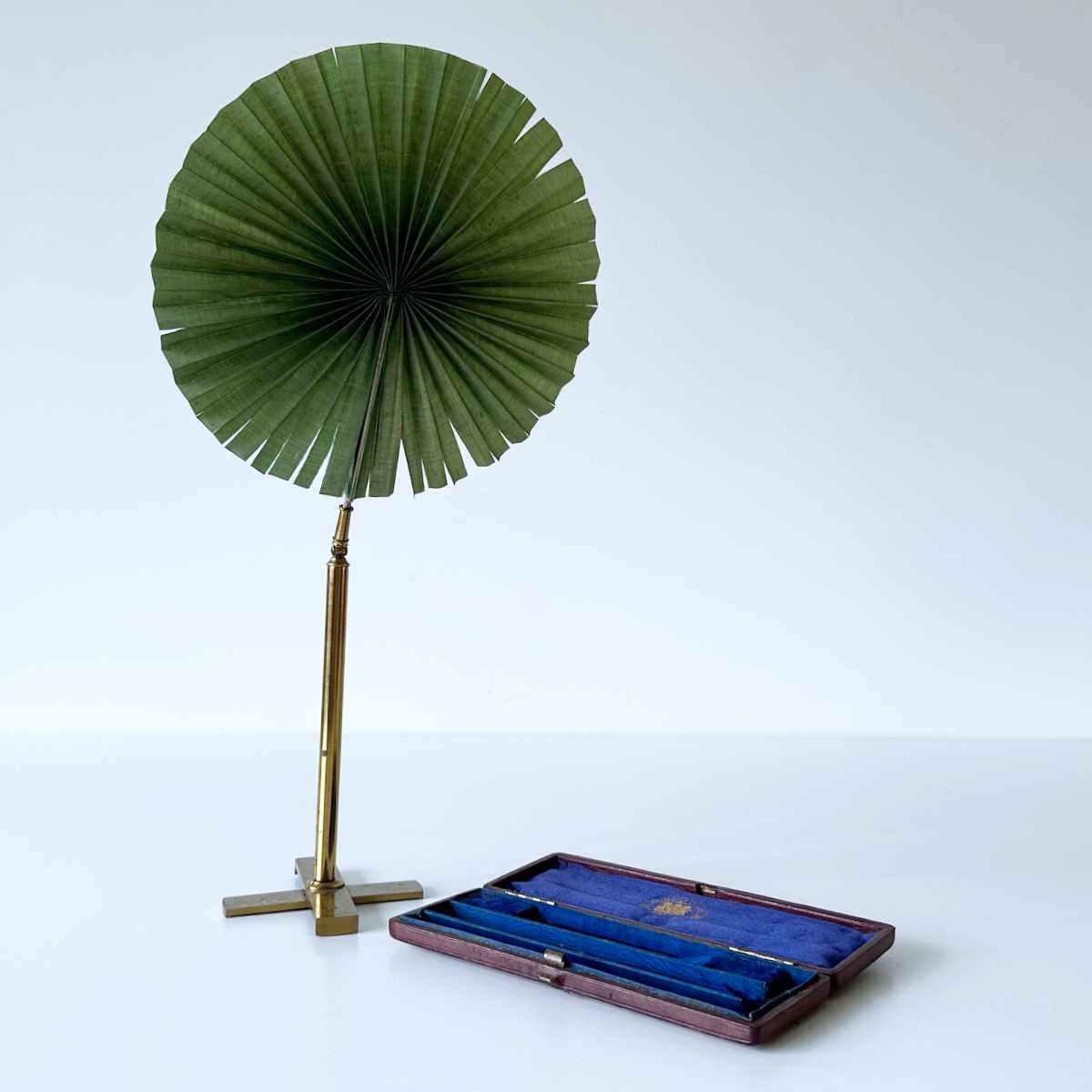 Victorian Microscopy Candlelight Shade in Original Case by M Pillischer of London