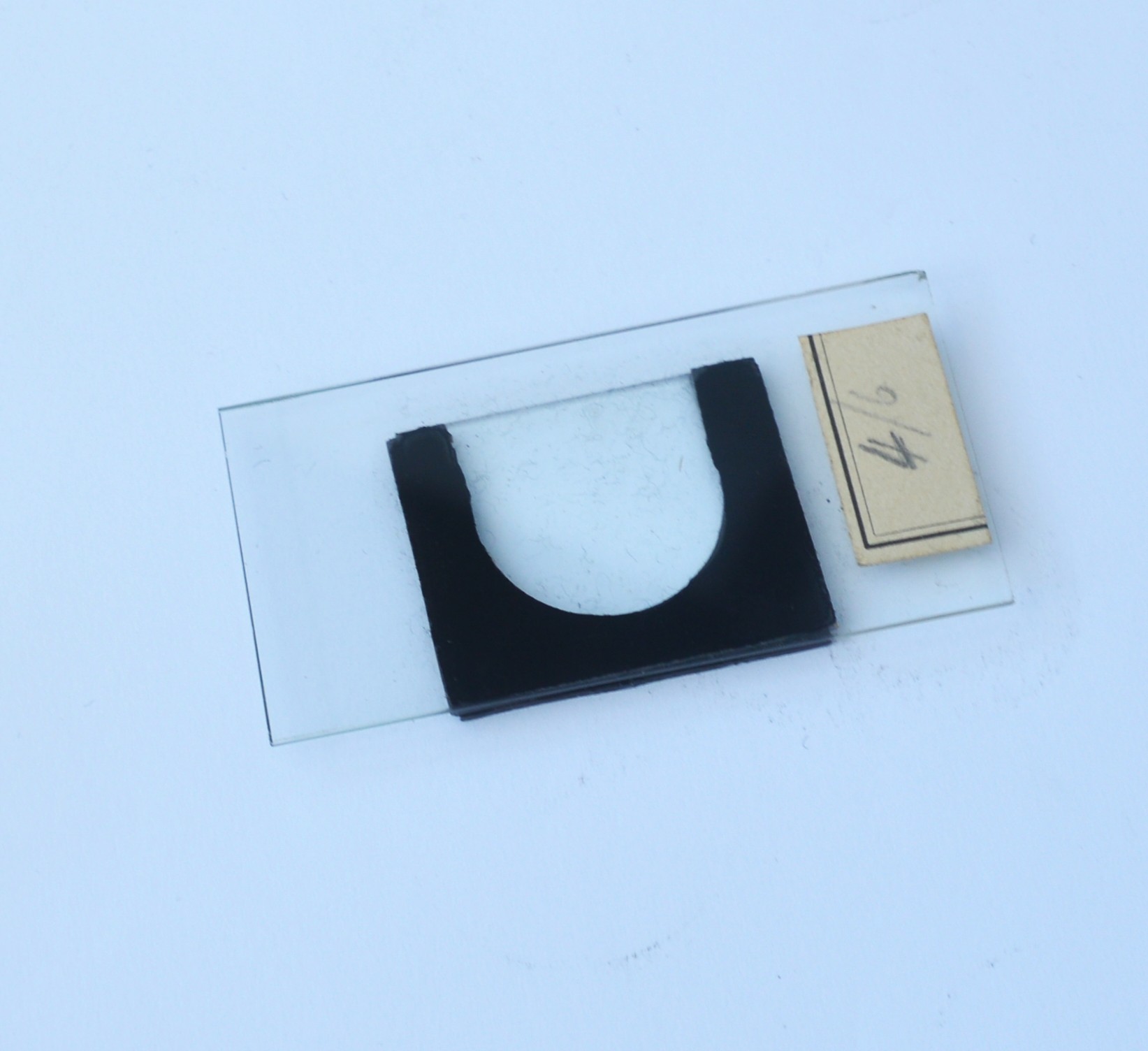 Microscope accessories: wet mount slide.
