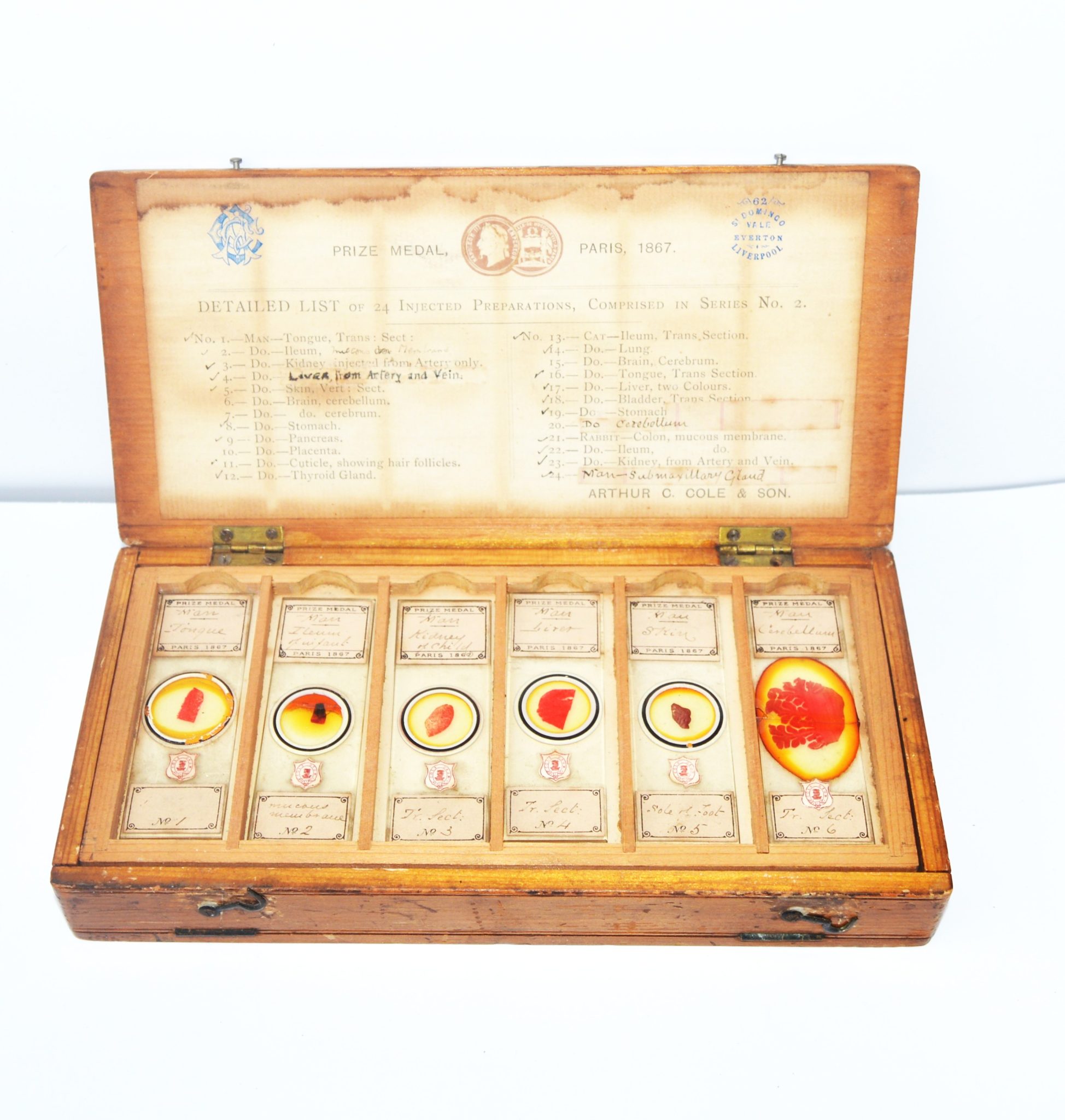 Set of 24 microscope slides by Arthur C. Cole & Son.