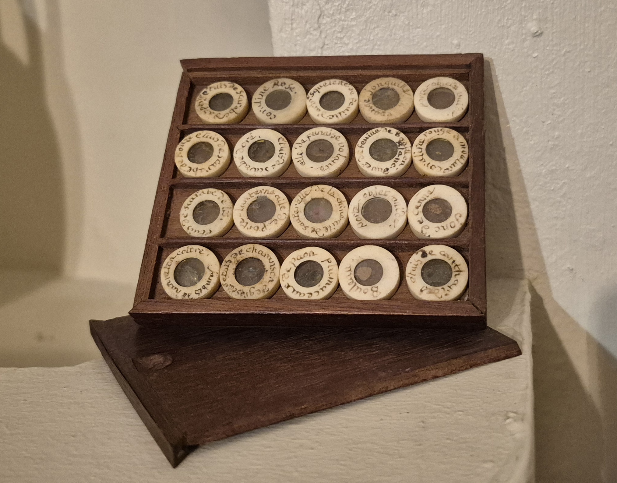 A set of twenty Ypelaar type natural history microscope slides, late 18th century